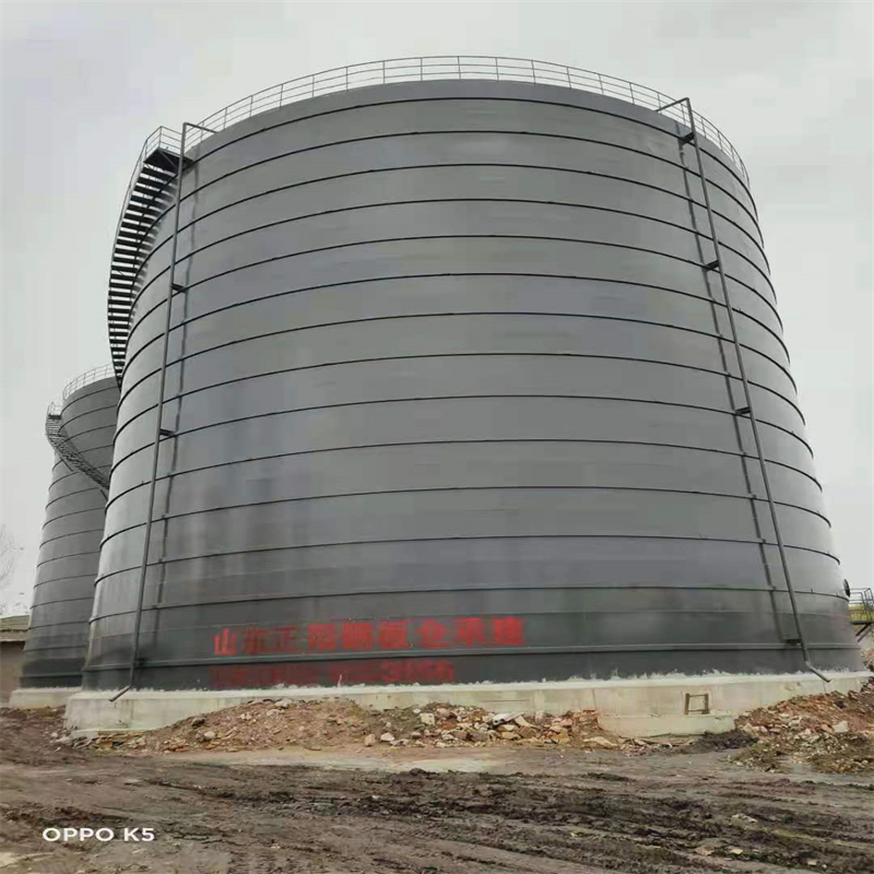 郓城3万吨大型钢板库