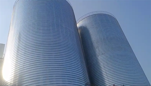 郓城2座混凝土高架卷板仓